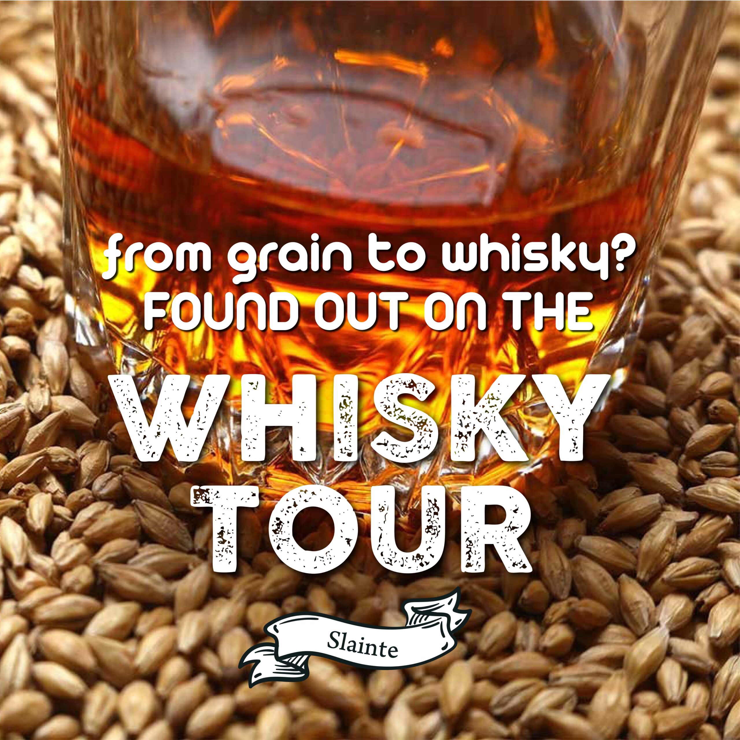 Whisky Tours